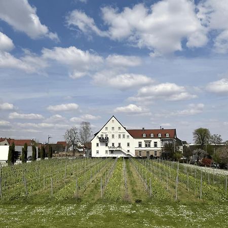 Weinzeit13 Apartment Neustadt an der Weinstrasse Exterior photo