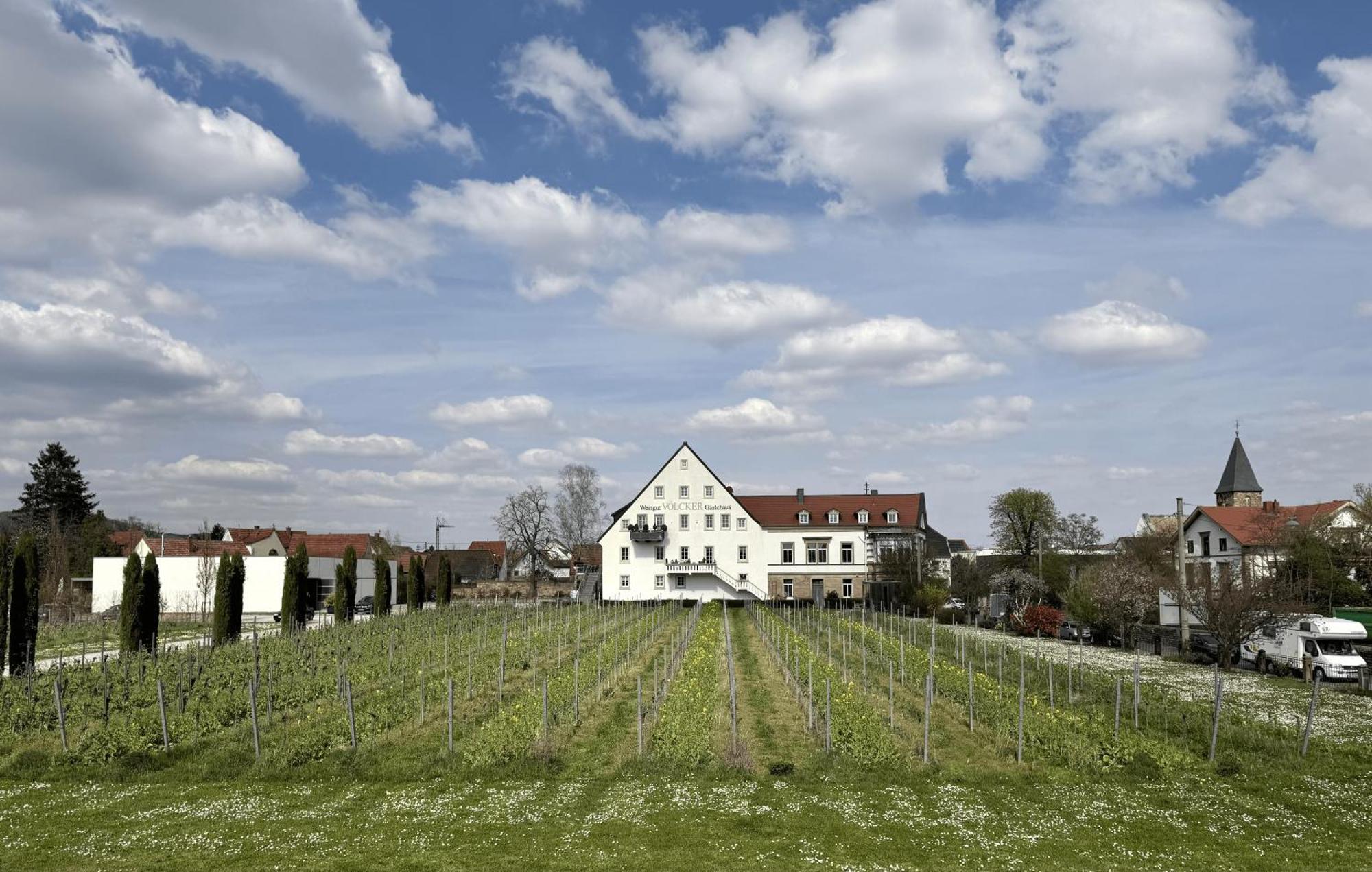 Weinzeit13 Apartment Neustadt an der Weinstrasse Exterior photo
